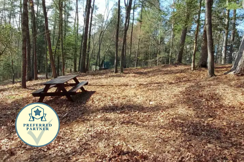 Things To Do Blue Ridge Private Dog Park